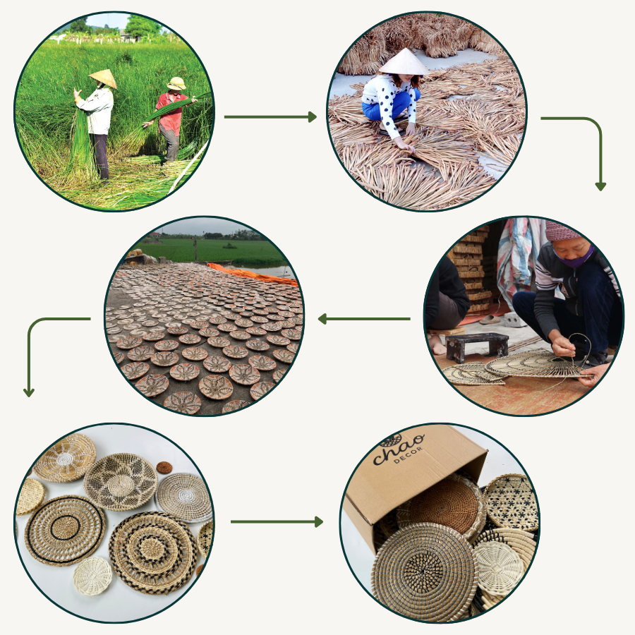 Set of 13 Boho Wall Baskets: Handwoven Seagrass Decor And Gift